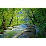 Casa si Gradina - Decoratiuni - Tablouri - Tablou canvas Pod lemn, padure, parc Plitvice, 45 x 30 cm - Infinity.ro