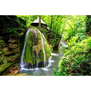 Casa si Gradina - Decoratiuni - Decoratiuni perete - Infinity.ro