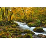 Casa si Gradina - Decoratiuni - Tablouri - Tablou canvas Cascada 12, 60 x 40 cm - Infinity.ro