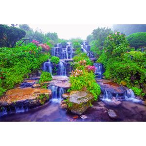 Casa si Gradina - Decoratiuni - Decoratiuni perete - Infinity.ro