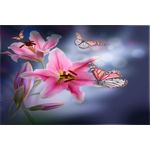 Casa si Gradina - Decoratiuni - Tablouri - Tablou canvas Crini roz, fluturi, 90 x 60 cm - Infinity.ro