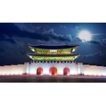 Casa si Gradina - Decoratiuni - Decoratiuni perete - Tablou canvas City 62 Castel Seoul noaptea, 105 x 70 cm - Infinity.ro