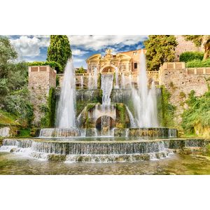 Casa si Gradina - Decoratiuni - Decoratiuni perete - Infinity.ro