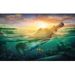 Casa si Gradina - Decoratiuni - Tablouri - Tablou canvas Compozitie 60 Sticla, pesti, ocean, 60 x 40 cm - Infinity.ro