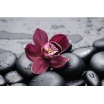 Casa si Gradina - Decoratiuni - Tablouri - Tablou canvas Flori 15, 90 x 60 cm - Infinity.ro