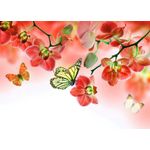 Casa si Gradina - Decoratiuni - Tablouri - Tablou canvas Flori 4, 45 x 30 cm - Infinity.ro