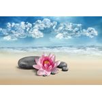 Casa si Gradina - Decoratiuni - Tablouri - Tablou canvas Flori 8, 75 x 50 cm - Infinity.ro