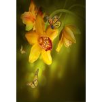 Casa si Gradina - Decoratiuni - Tablouri - Tablou canvas Orhidee galbene, fluturi 2, 50 x 75 cm - Infinity.ro