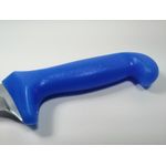 Casa si Gradina - Bucatarie si vesela - Vesela si tacamuri - Cutite si seturi de cutite - Cutit de transat, otel inoxidabil, 29 cm, albastru - Infinity.ro