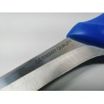 Casa si Gradina - Bucatarie si vesela - Vesela si tacamuri - Cutite si seturi de cutite - Cutit de transat, otel inoxidabil, 29 cm, albastru - Infinity.ro