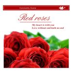 Casa si Gradina - Decoratiuni - Stickere decorative - Sticker decorativ, Trandafiri, 160 cm, 735STK - Infinity.ro