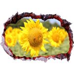 Casa si Gradina - Decoratiuni - Stickere decorative - Sticker decorativ, Gaura in perete 3D, floarea soarelui, 85 cm, 336STK-1 - Infinity.ro