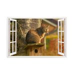 Casa si Gradina - Decoratiuni - Stickere decorative - Sticker decorativ, Fereastra 3D, Pisica, 85 cm, 502STK - Infinity.ro