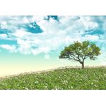 Casa si Gradina - Decoratiuni - Tablouri - Tablou canvas Flori 144, 45 x 30 cm - Infinity.ro