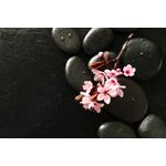 Casa si Gradina - Decoratiuni - Tablouri - Tablou canvas Flori 147, 75 x 50 cm - Infinity.ro