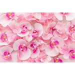 Casa si Gradina - Decoratiuni - Tablouri - Tablou canvas Flori 161, 70 x 105 cm - Infinity.ro