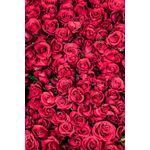 Casa si Gradina - Decoratiuni - Tablouri - Tablou canvas Flori 81, 60 x 90 cm - Infinity.ro