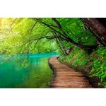 Casa si Gradina - Decoratiuni - Tablouri - Tablou canvas Podet lemn peste rau in padure, 105 x 70 cm - Infinity.ro
