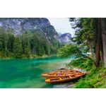 Casa si Gradina - Decoratiuni - Tablouri - Tablou canvas Natura 125, 45 x 30 cm - Infinity.ro