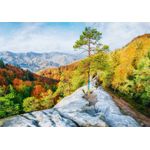 Casa si Gradina - Decoratiuni - Tablouri - Tablou canvas Natura 138, 90 x 60 cm - Infinity.ro