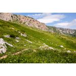Casa si Gradina - Decoratiuni - Tablouri - Tablou canvas Natura 90, 60 x 40 cm - Infinity.ro