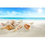 Casa si Gradina - Decoratiuni - Tablouri - Tablou canvas Natura 19, 75 x 50 cm - Infinity.ro