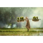 Casa si Gradina - Decoratiuni - Tablouri - Tablou canvas People 1, 60 x 40 cm - Infinity.ro