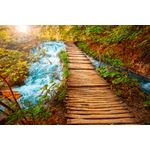 Casa si Gradina - Decoratiuni - Tablouri - Tablou canvas Natura 11, 75 x 50 cm - Infinity.ro