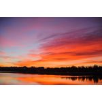 Casa si Gradina - Decoratiuni - Tablouri - Tablou canvas Natura 133, 60 x 40 cm - Infinity.ro