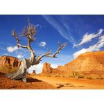 Casa si Gradina - Decoratiuni - Tablouri - Tablou canvas Natura 173, 90 x 60 cm - Infinity.ro
