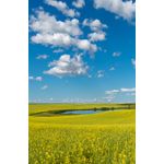Casa si Gradina - Decoratiuni - Tablouri - Tablou canvas Natura 35, 50 x 75 cm - Infinity.ro