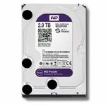 PC, gaming si accesorii - Componente PC - Componente - Hard Disk-uri - Hard disk, 2Tb, pentru sisteme de supraveghere, 145mb/sec, buffer 6 Gb/sec, WD20PURX, Western Digital Purple - Infinity.ro