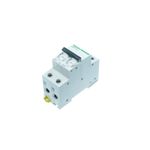 Casa si Gradina - Electrice - Distributie electrica si comanda - Intrerupatoare - Intrerupator automat modular Schneider Electric iK60 2P 16A - Infinity.ro