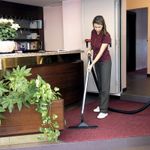 Electronice si Electrocasnice - Ingrijirea locuintei - Aspiratoare - Aspirator profesional umed/uscat Domus IF LAVOR, 2 motoare, 2400W, cuva INOX, volum 78L - Infinity.ro