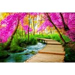 Casa si Gradina - Decoratiuni - Tablouri - Tablou canvas Padure 18, 90 x 60 cm - Infinity.ro
