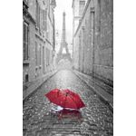 Casa si Gradina - Decoratiuni - Tablouri - Tablou canvas Paris, umbrela rosie, turn Eiffel, alb-negru, 45 x 30 cm - Infinity.ro