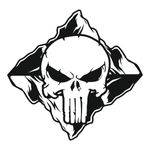 Auto si Moto/Intretinere auto/Stickere auto - Set doua stickere auto, punisher, negru, 35 x 35 - Infinity.ro