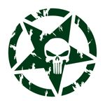 Auto si Moto - Intretinere auto - Stickere auto - Set doua stickere auto cu stea punisher, verde, 30 x 30 - Infinity.ro