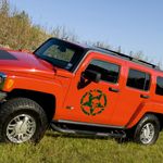 Auto si Moto - Intretinere auto - Stickere auto - Set doua stickere auto cu stea punisher, verde, 30 x 30 - Infinity.ro