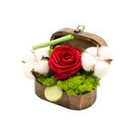 Cadouri - Flori - Cufar Little Secret Garden cu Trandafir Natural Criogenat, Rosu - Infinity.ro