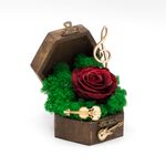 Cufar-Music-Box-cu-Trandafir-Stabilizat-Grena