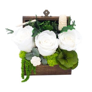 Casa si Gradina - Decoratiuni - Obiecte decorative - Infinity.ro