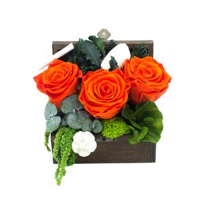 Casa si Gradina - Decoratiuni - Obiecte decorative - Infinity.ro