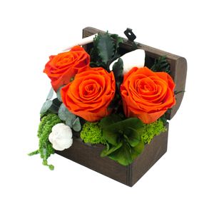 Casa si Gradina - Decoratiuni - Obiecte decorative - Infinity.ro