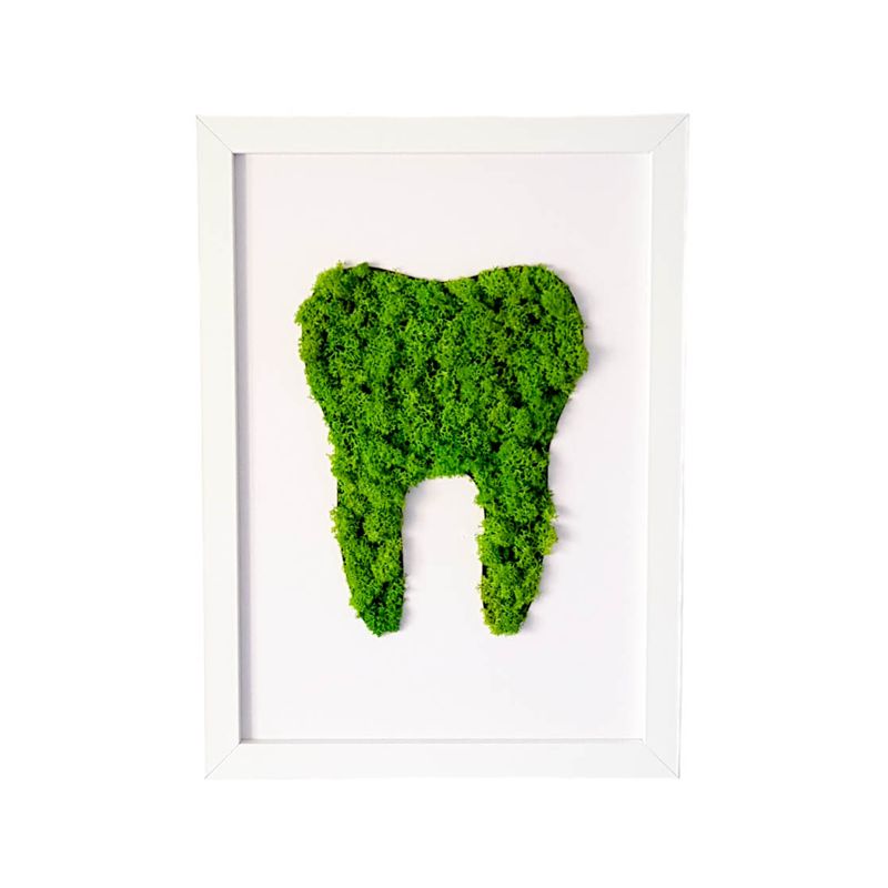 Casa si Gradina - Decoratiuni - Tablouri - Tablou cu licheni maseluta Elli's Blooming Garden, green, Verde, alb, 50X70 cm - Infinity.ro