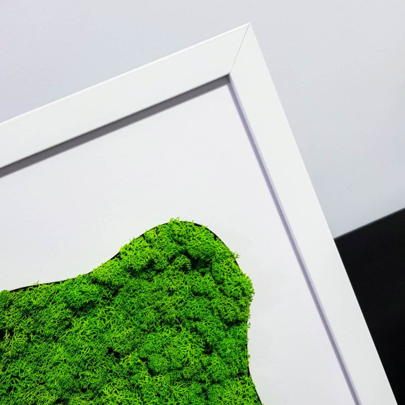 Casa si Gradina - Decoratiuni - Tablouri - Tablou cu licheni maseluta Elli's Blooming Garden, green, Verde, alb, 50X70 cm - Infinity.ro