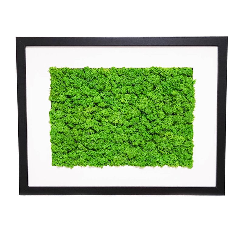Casa si Gradina - Decoratiuni - Tablouri - Tablou cu licheni Elli's Blooming Garden, green, Verde, negru, 30x40 cm - Infinity.ro