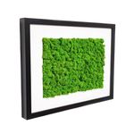 Casa si Gradina - Decoratiuni - Tablouri - Tablou cu licheni Elli's Blooming Garden, green, Verde, negru, 30x40 cm - Infinity.ro
