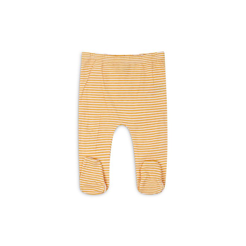 Fashion, accesorii si bijuterii - Copii - Imbracaminte copii - Treninguri si compleuri copii - Set cadou bebelusi 3 piese model tigru marime 3-6 luni - Infinity.ro