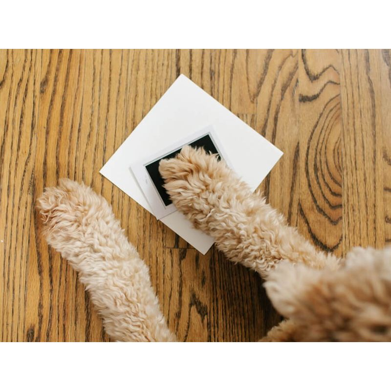 Market - Cadouri - Rame si albume foto - Pearhead - Kit rama foto amprente cerneala - Best Friends Forever - Infinity.ro